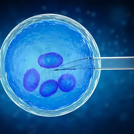 Artificial Insemination